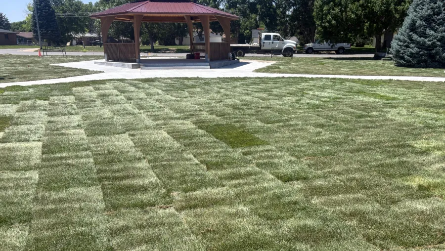 lawn install sod lawn install sod